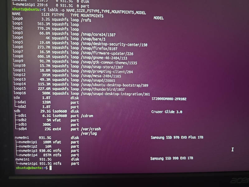 Ubuntu Live terminal showing Samsung 970 EVO Plus, Samsung 990 EVO, and mounted Windows partitions